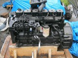 Запасные части для: CUMMINS, WEICHAI, YUCHAI, SHANGHAI,  DEUTZ , SAMSUNG, VOLVO, HYUNDAI, DOOSAN, HITACHI, KOMATSU, HOWO, SHAANXI, DONG FENG,  XCMG, LIUGONG, SHANTUI, SDLG, FOTON, BAW, FAW, ZOOMMLION, SHANGHAI, HIGER, GOLDEN DRAGON, YUTONG, KING LONG / Иркутск